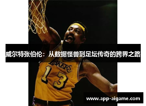 威尔特张伯伦：从数据怪兽到足坛传奇的跨界之路
