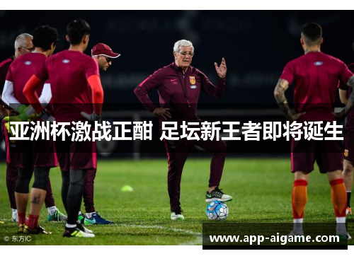 亚洲杯激战正酣 足坛新王者即将诞生