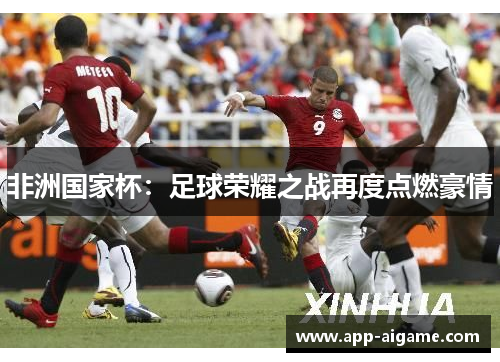 非洲国家杯：足球荣耀之战再度点燃豪情